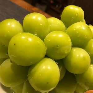 UP！  厳選DANCE ch！