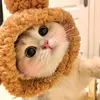 Pet Cat Hut-avatar
