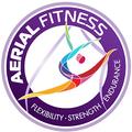 Aerial Fitness's images