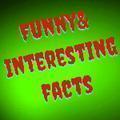 Funny & interesting facts