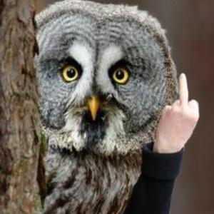 fuckuropinionintheass