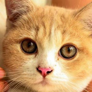 ジャスミン@相互フォロー