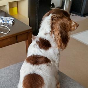 さつきのグルメ探訪