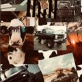 Addison Turner's images