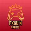 Pxnguin Gaming-avatar