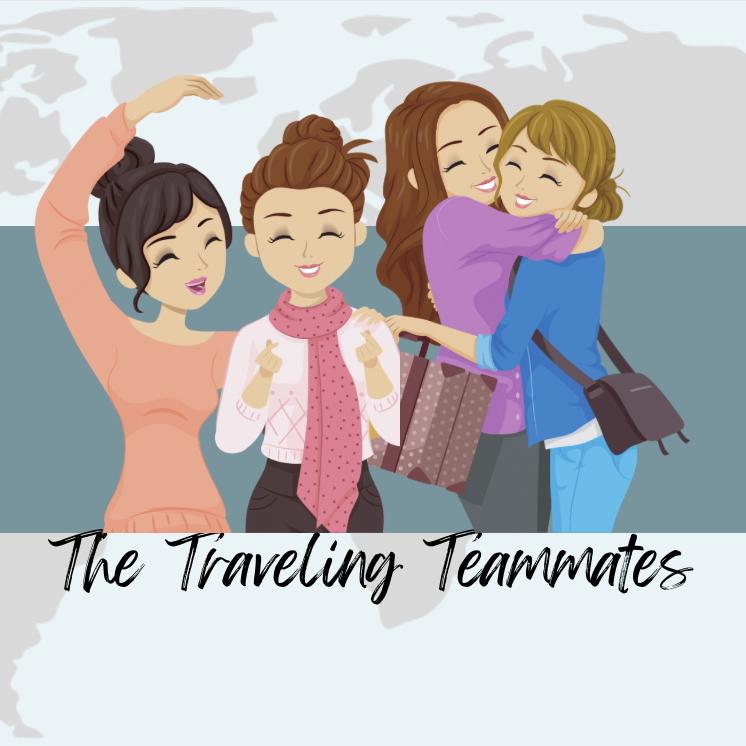 Imej Travel Teammate