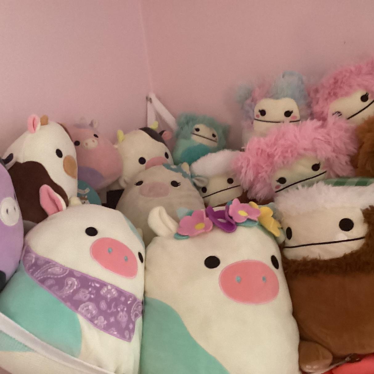 Squishmallow123's images