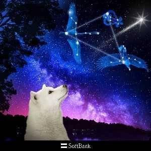 anaana 話題の動画