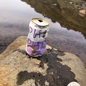 bananafish bananafish