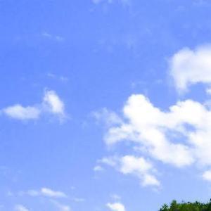 富若のおひさま【相互フォロー100】