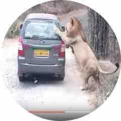 SASUKE（衝撃映像）相互フォロー歓迎