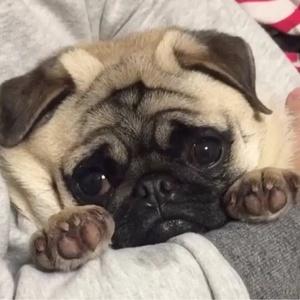 相互フォローマスター二郎 フォローしてくれ