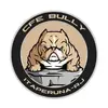 CFE BULLY BULL KENNEL-avatar