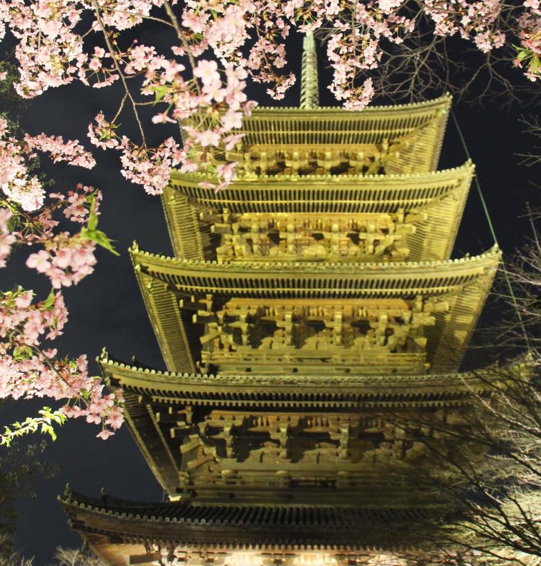 mint京都と関西の花と絶景の画像