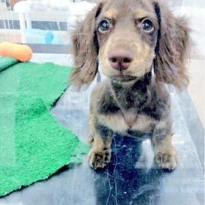 エンタメまとめ