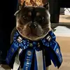 Grand Champion Brew Haus-avatar