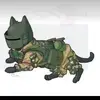 Catchanka