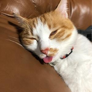 ソゾモンちゃんねる