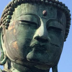 面白、かわいい、凄技チャンネル