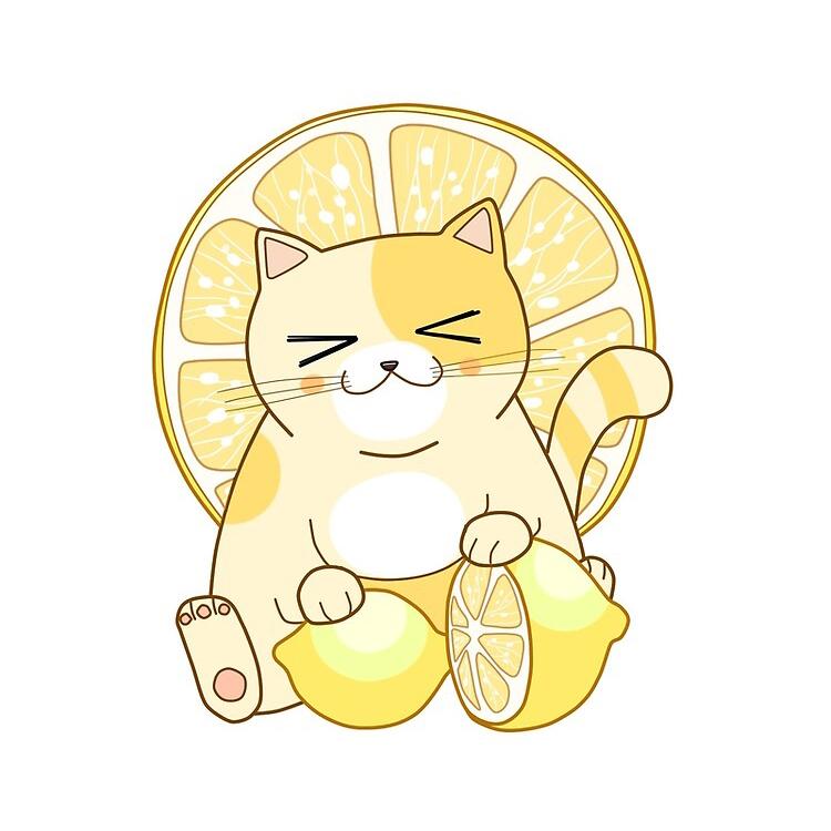 Lemon kitty 's images