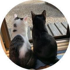 きなことあずきたまにとと