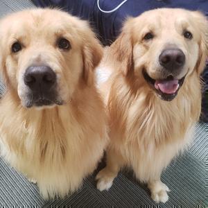 アレックスまぁ君