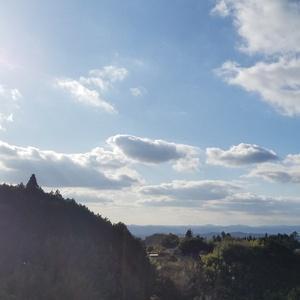 がんちゃんねる