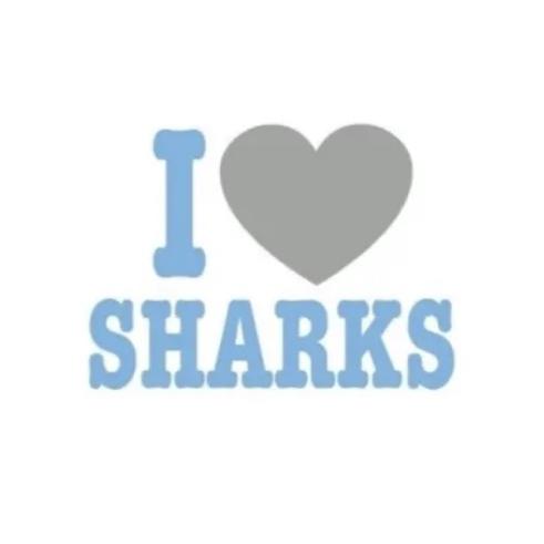 I love sharks's images