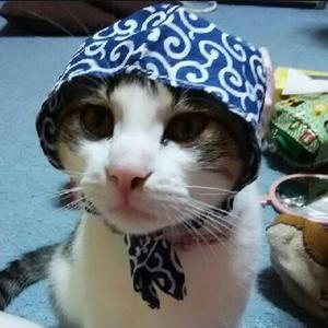 しんクン【tmt】