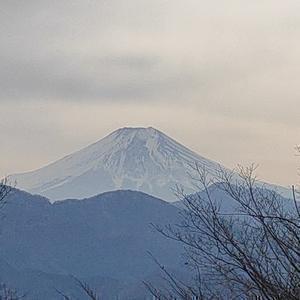山山山