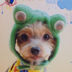 rosemary   相互フォロー