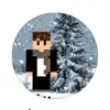  DREAMSMP CHRISTMAS -avatar