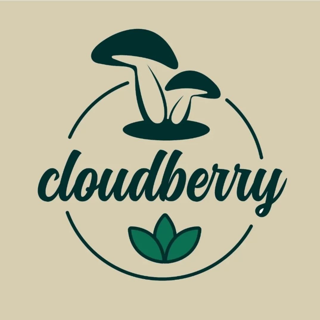 Hình ảnh của CloudberryStckr