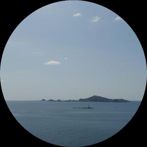 動物動画チャンネル！！