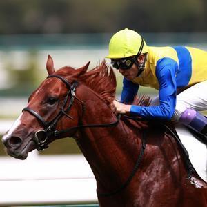 競馬データ検証チャンネル