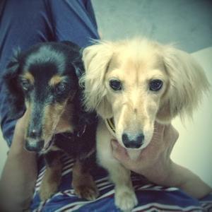 藤川浩子【相互フォロー】