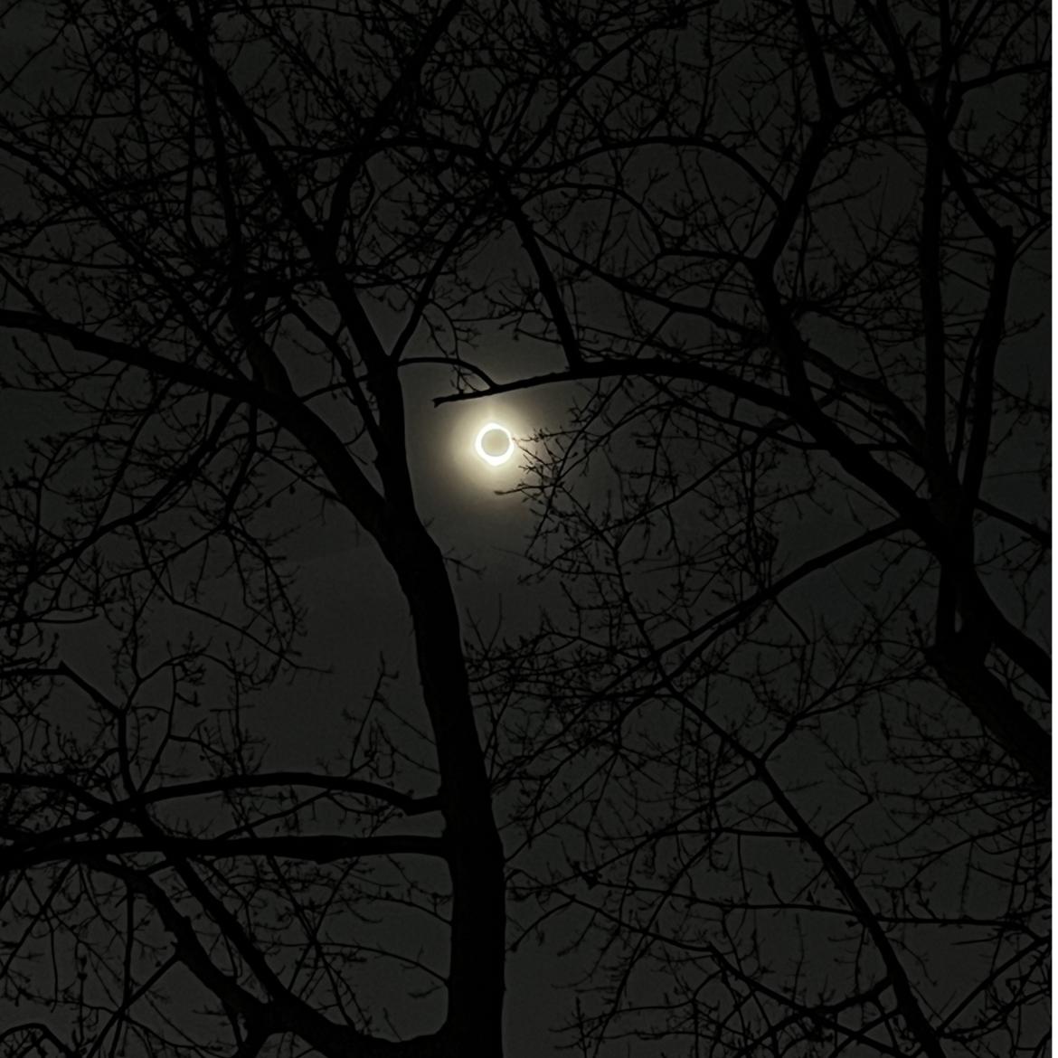 moonrise's images
