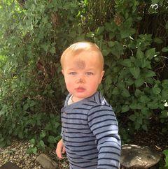 Ted Ibarra250 - @tedibarra250 - TikTok