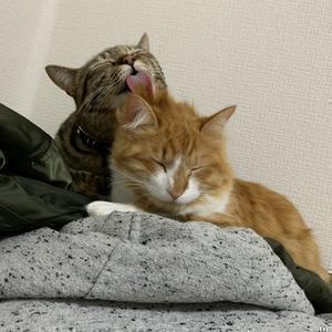 はづくれチャンネル