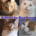 Kitties by Quarters