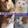Kitties by Quarters-avatar