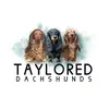 Taylored Dachshunds-avatar