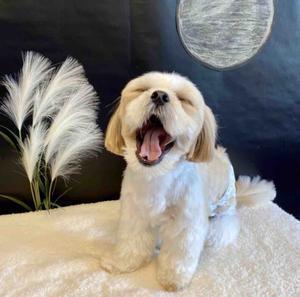 面白・動画ネタクラブ