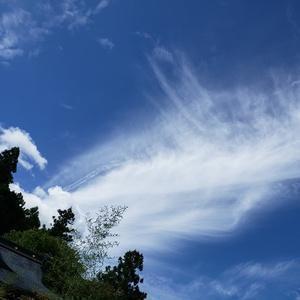 ちょっとした動画