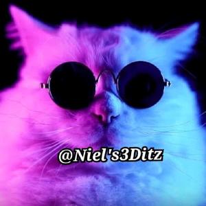 Niel's3DiTz-avatar