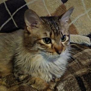 癒しちゃんねる~kairyu~フォロバ100%