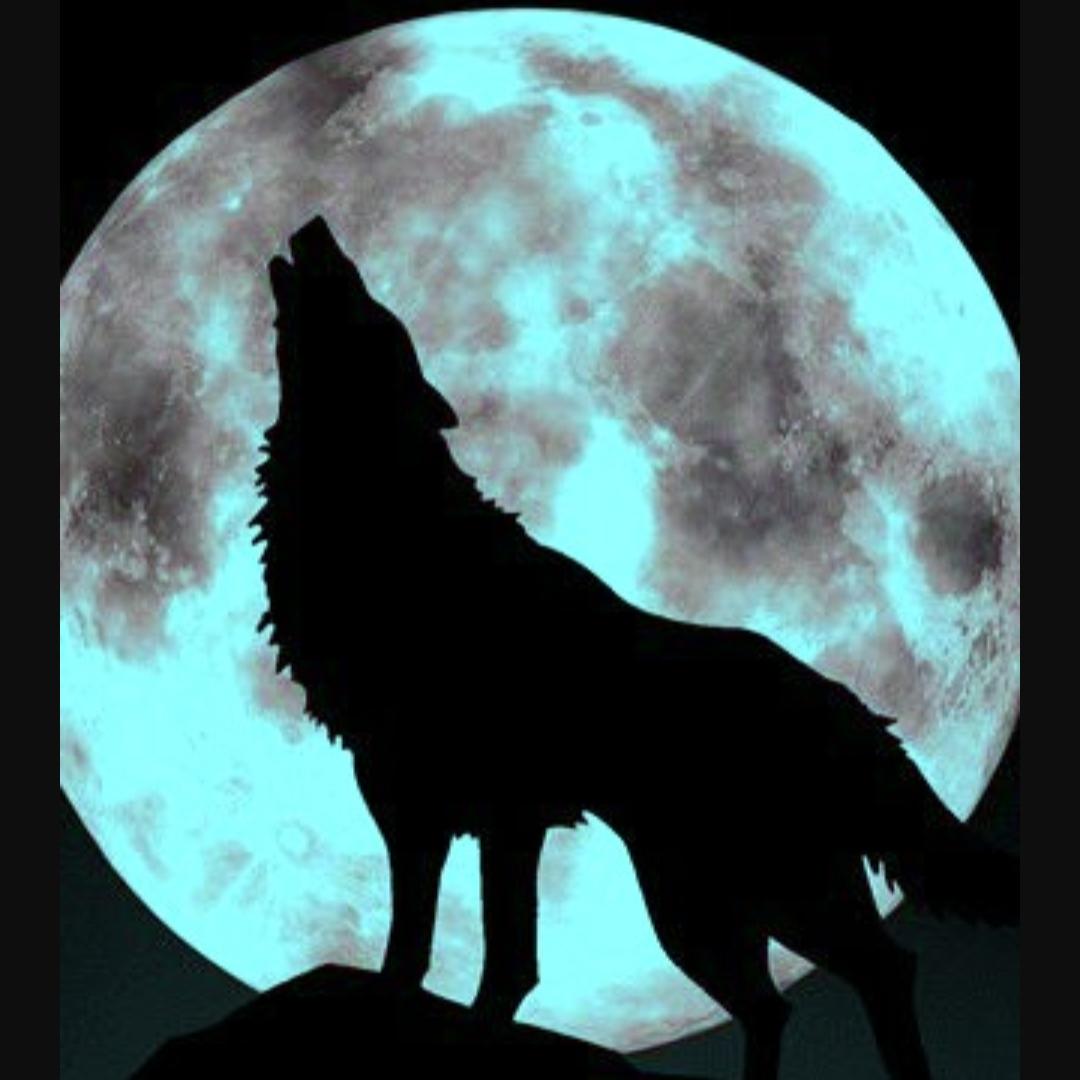 graywolfの画像