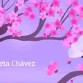 Violeta Chavez867