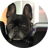 近所の親父チャンネル