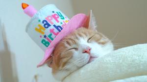 テテさんとくぅちゃん